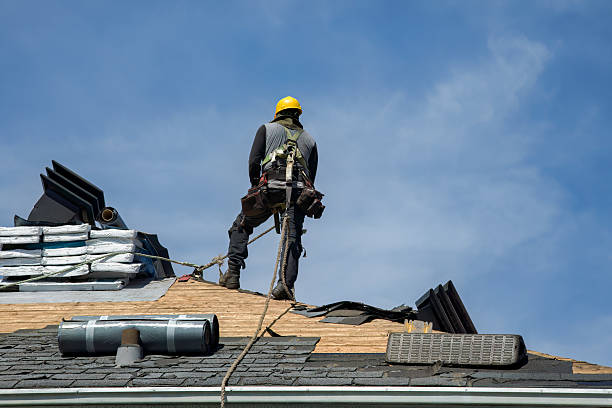 Professional Roof Replacement technician working in Eola, IL